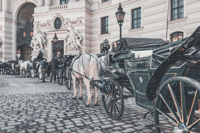 View of horse cart on street in city