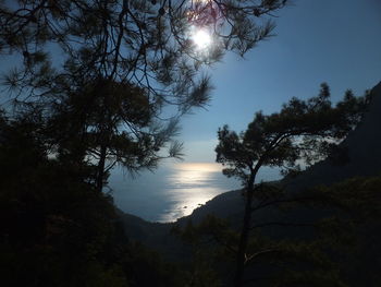 Silhouette trees by sea against sky