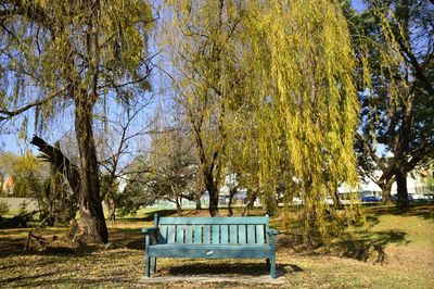 Empty bench in park