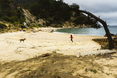 Woman on beach by sea