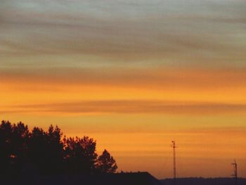 Silhouette of trees at sunset
