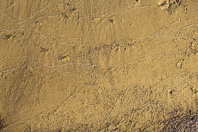 Full frame shot of rocks