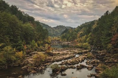 Tennessee nature 