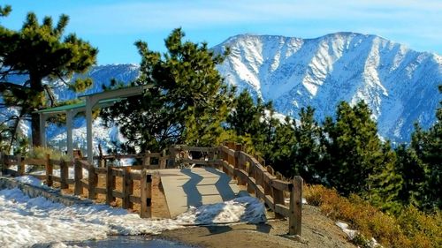 Scenic view of trees and mountains against sky