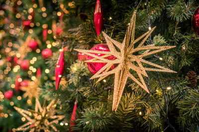 Close-up of christmas tree