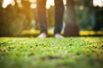Low section of man standing on field