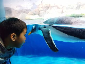 Close-up of boy looking at penguin in aquarium