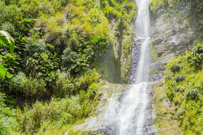 Scenic view of waterfall