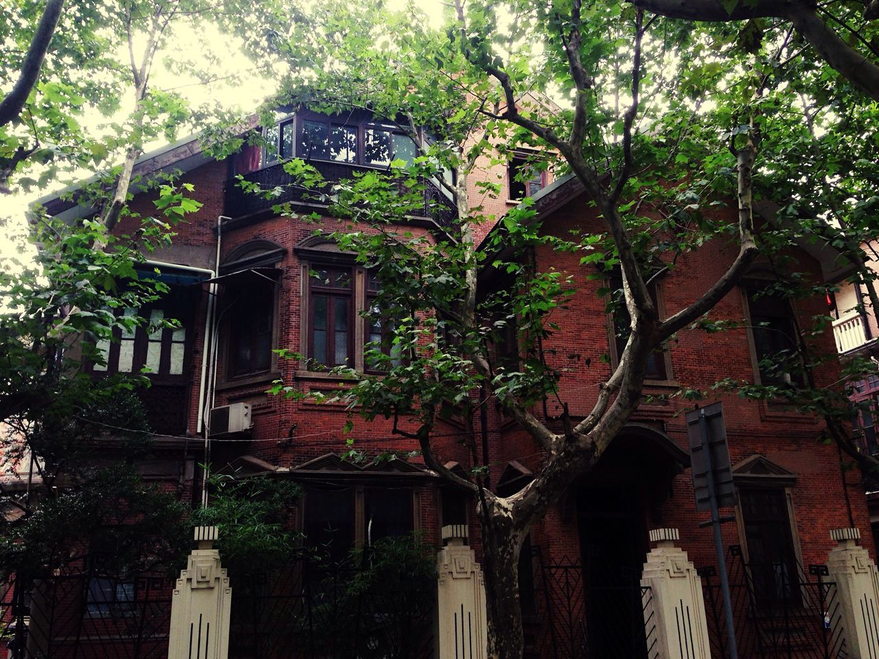 building exterior, architecture, built structure, tree, house, low angle view, growth, residential structure, residential building, branch, window, day, plant, outdoors, old, no people, roof, ivy, building, nature