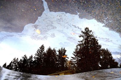 Close-up of frozen trees against sky during winter