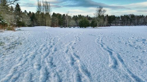 Scenic view of snow covered landscape