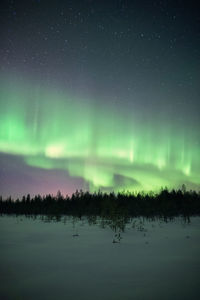 Scenic view of trees against sky at night