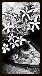 High angle view of wall