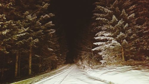 Empty road along trees