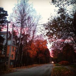 Street amidst trees against sky during autumn