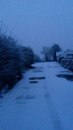 Empty road along bare trees in winter