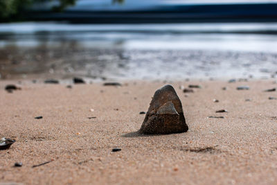 Close-up of rusty metal on beach