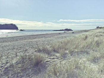 Scenic view of beach against sky