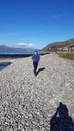 Rear view of man on beach against blue sky