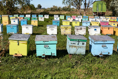 apiary