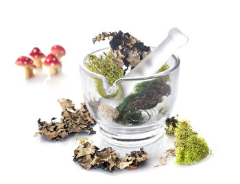 Close-up of herbs with mortar and pestle against white background