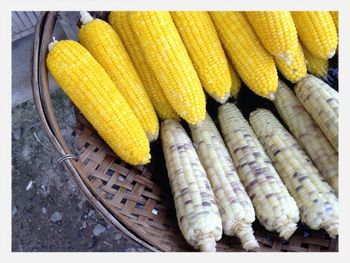 Close-up of vegetables