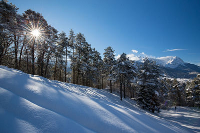 Scenic view of snow covered trees against sky