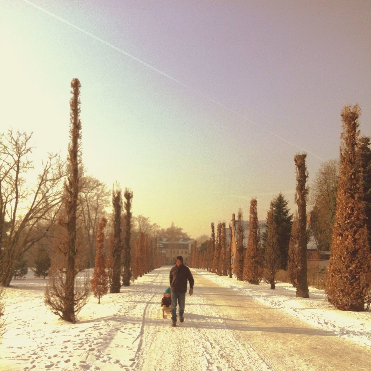 winter, tree, snow, season, rear view, full length, cold temperature, walking, the way forward, clear sky, lifestyles, leisure activity, men, weather, nature, silhouette, standing, footpath