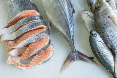 High angle view of fish for sale