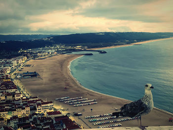 High angle view of seagulls by sea against sky
