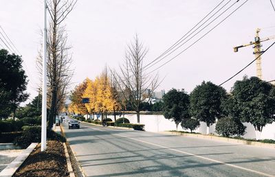 Road by trees against sky