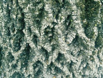 Full frame shot of textured surface