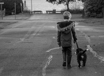 Rear view of man with dog walking on road in city