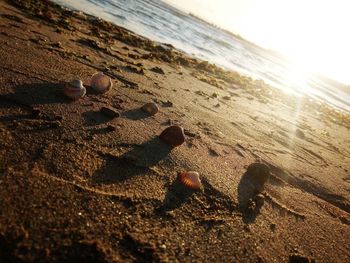Close-up of sand on beach against sky