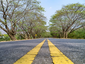 Empty road amidst trees against sky