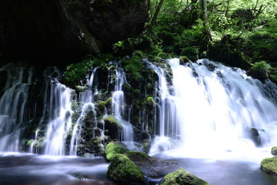 Scenic view of waterfall in forest