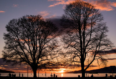 Silhouette trees against sky during sunset