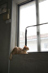 window