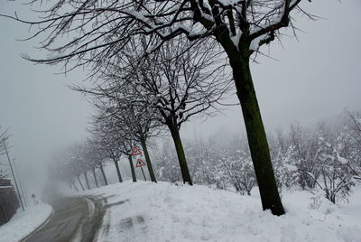 Bare trees on snow covered landscape