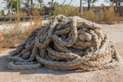 Close-up of rope on the ground