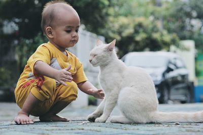 Portrait of a cute boy playing with his cat on the roadside in front of his house