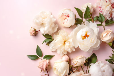 Close-up of white roses