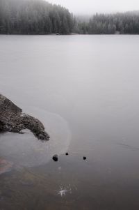 Scenic view of lake during winter