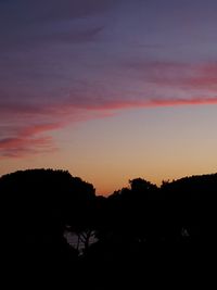 Silhouette of trees at sunset