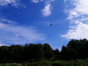 Low angle view of silhouette birds flying against sky