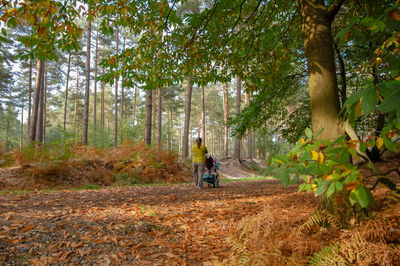 Rear view of woman with baby stroller in forest