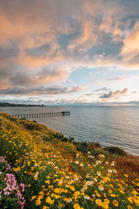 Scenic view of sea against cloudy sky