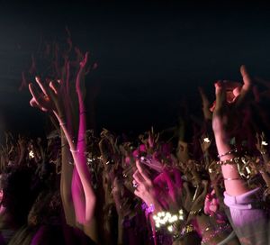 People enjoying music concert at night