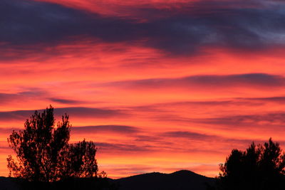 Silhouette of trees against sky during sunset