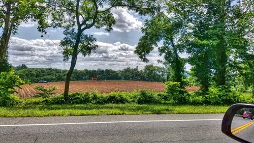 Road by trees against sky